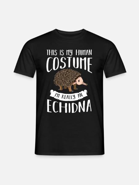 Echidna Ant Hedgehog Funny Hedgehog - Men's T-Shirt - black