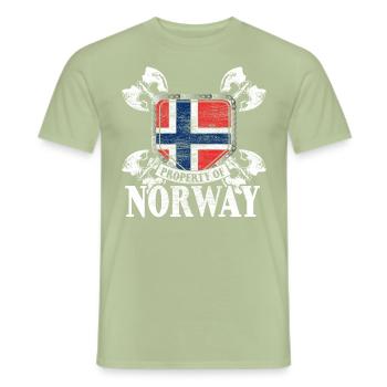 Norway State - Men's T-Shirt - sage - Front - AI Model Male 178 light (178cm)