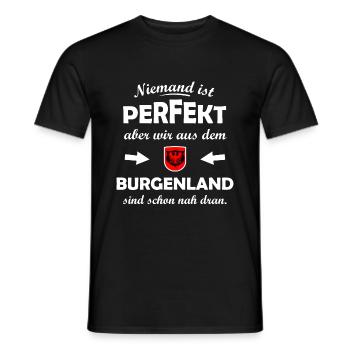 Burgenland in Österreich - Männer T-Shirt - Schwarz - Vorne - AI Model Male 178 light (178cm)