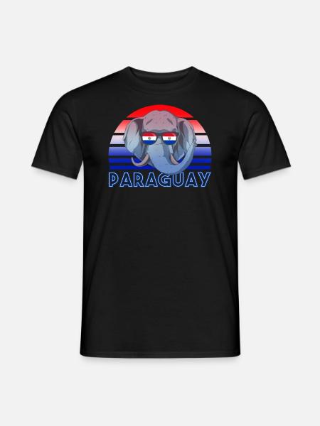 Paraguay - Men's T-Shirt - black