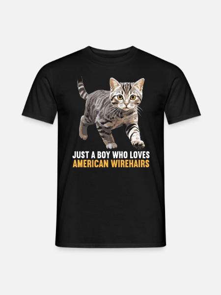 Chat Chats American Wirehair - T-shirt homme - noir