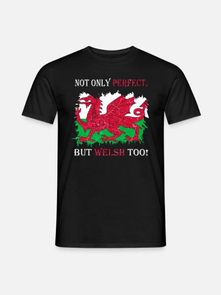 Wales flag St Davids Day Cymraeg Welsh coat of arms - Men's T-Shirt - black