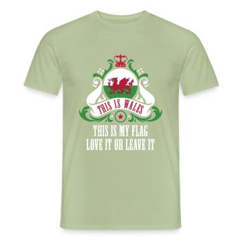 Pays de Galles Nation - T-shirt homme - vert sauge - Devant - AI Model Male 178 light (178cm)