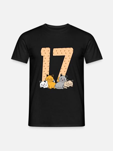 17th birthday - Men's T-Shirt - black