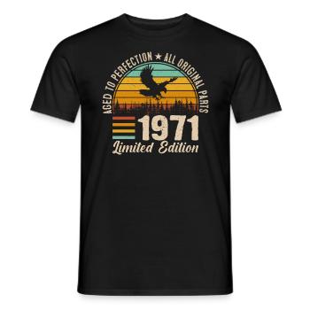 Vintage 53 Birthday Gift 1971 - Men's T-Shirt - black - Front - AI Model Male 178 light (178cm)
