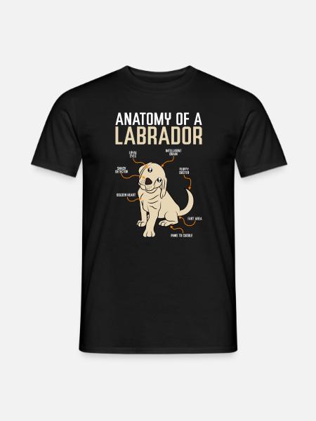 Labrador d'anatomie - T-shirt homme - noir