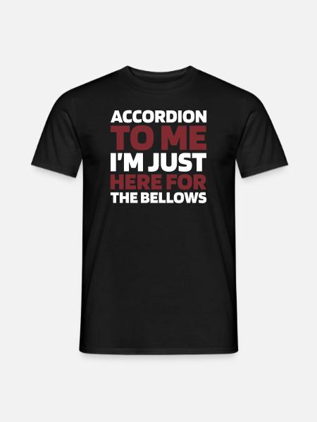Accordion - Men's T-Shirt - black