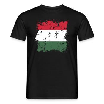 Hungary Flag Hungarian Flag Balaton Hungary - Men's T-Shirt - black - Front - AI Model Male 178 light (178cm)