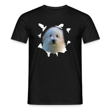 Coton de Tulear - Chien Coton de Tulear - T-shirt homme - noir - Devant - AI Model Male 178 light (178cm)