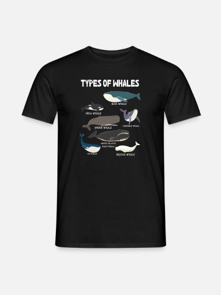 Types of Whales Whale Lovers Whales Species - Men's T-Shirt - black