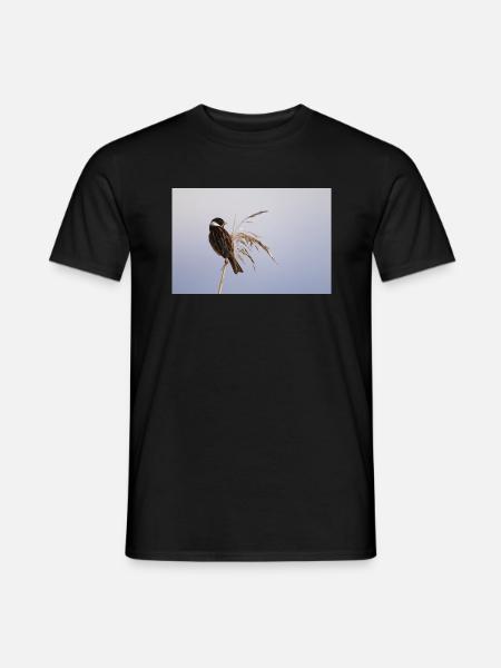 Bunting On Reeds - Men's T-Shirt - black