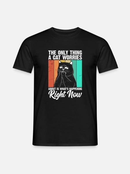 Das Einzige, Worüber Sich Eine Katze Sorgen Macht - Männer T-Shirt - Schwarz