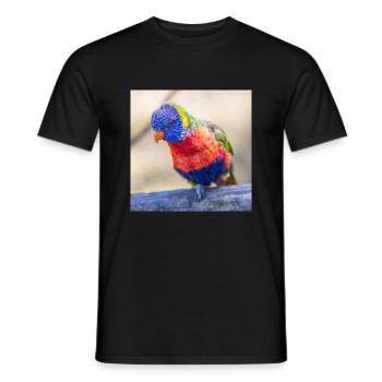 Rainbow lorikeet (Allfarblori, Trichoglossus) - Men's T-Shirt - black - Front - AI Model Male 178 light (178cm)