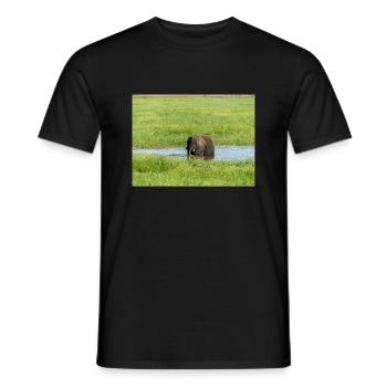 Landscape in Chobe National Park on Sedudu - Men's T-Shirt - black - Front - AI Model Male 178 light (178cm)