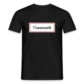 Gwened Vannes - Männer T-Shirt - Schwarz - Vorne - AI Model Male 178 light (178cm)