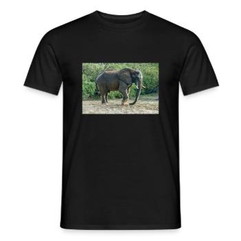 Elephant stomped its foot into the sand. - Men's T-Shirt - black - Front - AI Model Male 178 light (178cm)