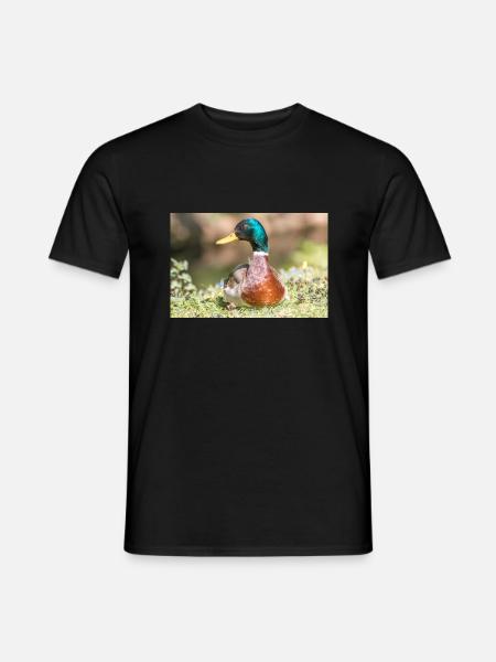 Male Mallard, wild duck (Stockente) - Männer T-Shirt - Schwarz