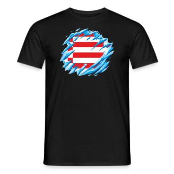 Bremen Flag Bremen Flag - Men's T-Shirt - black - Front - AI Model Male 178 light (178cm)