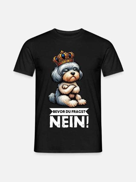 Bevor Du Fragst Nein Havaneser Havaneserbesitzer - Männer T-Shirt - Schwarz