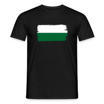 Sachsen Flagge Sächsische Fahne Ossi Urlaub SN - Männer T-Shirt - Schwarz - Vorne - AI Model Male 178 light (178cm)