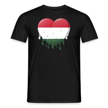 Hungary Flag Hungarian flag Balaton Hungary - Men's T-Shirt - black - Front - AI Model Male 178 light (178cm)