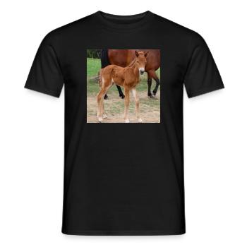Pferd Pferdeposter - Männer T-Shirt - Schwarz - Vorne - AI Model Male 178 light (178cm)