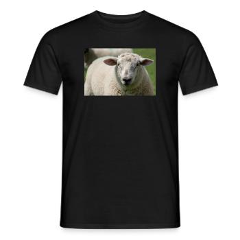 Nahaufnahme eines Schafes - Männer T-Shirt - Schwarz - Vorne - AI Model Male 178 light (178cm)
