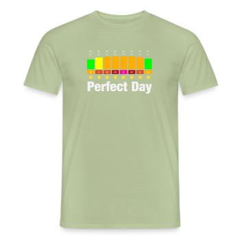 Perfect Day - Männer T-Shirt - Sage - Vorne - AI Model Male 178 light (178cm)
