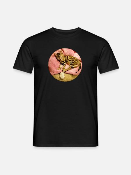 Junges Kätzchen schlief bei seinem älteren Katzenfreund ein - Männer T-Shirt - Schwarz