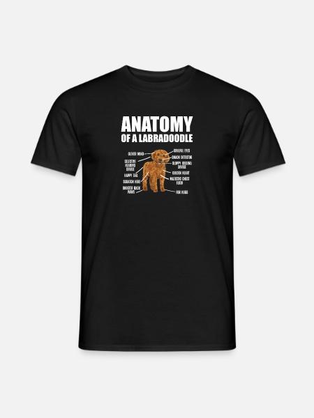 Labradoodle Dog - Men's T-Shirt - black