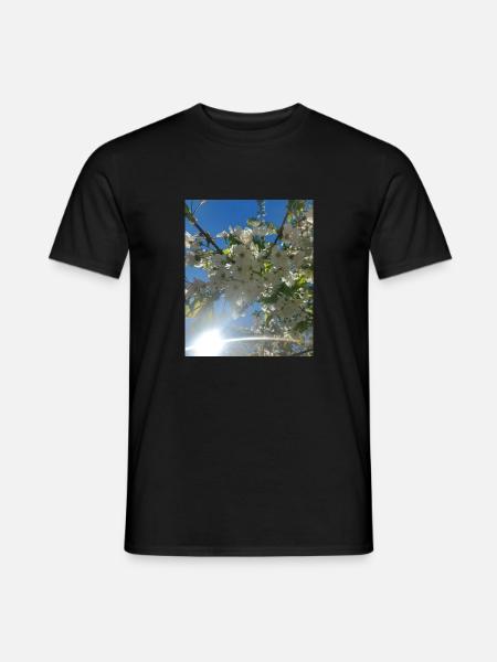 Kirschblüten - Männer T-Shirt - Schwarz