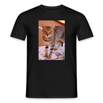 Katze Kätzchen - Männer T-Shirt - Schwarz - Vorne - AI Model Male 178 light (178cm)