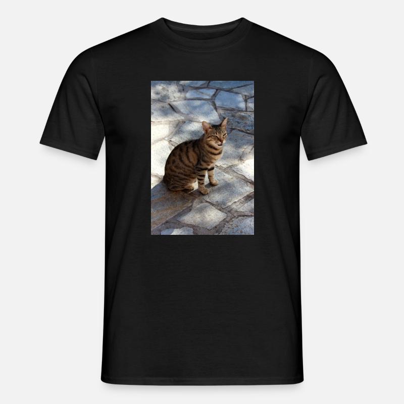Katze Kätzchen - Männer T-Shirt - Schwarz
