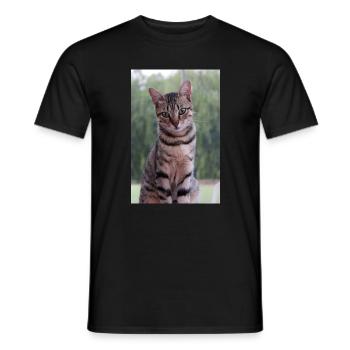 Cat Kitten - Men's T-Shirt - black - Front - AI Model Male 178 light (178cm)
