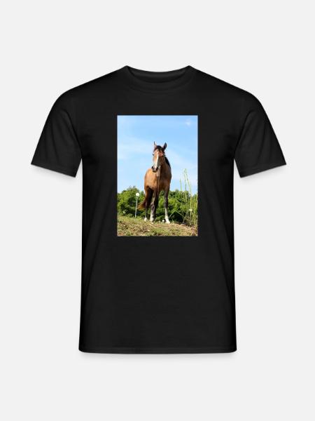 Affiche Cheval Cheval - T-shirt homme - noir
