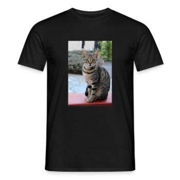 chat, chaton - T-shirt homme - noir - Devant - AI Model Male 178 light (178cm)