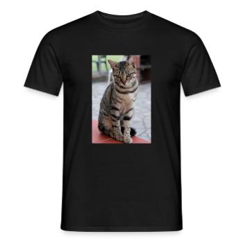 chat, chaton - T-shirt homme - noir - Devant - AI Model Male 178 light (178cm)