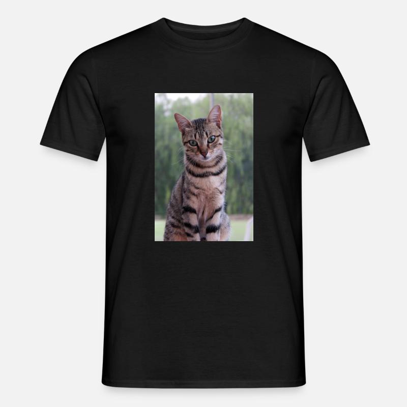 Katze Katze süßes Kätzchen - Männer T-Shirt - Schwarz