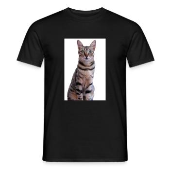 Cat Kitten - Men's T-Shirt - black - Front - AI Model Male 178 light (178cm)