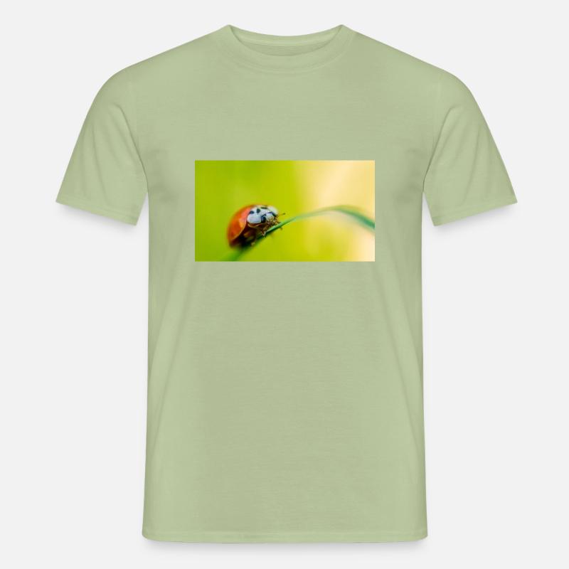 Marienkäfer - Männer T-Shirt - Sage