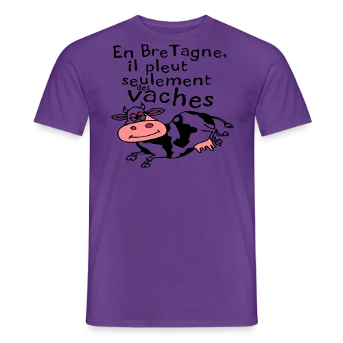 Bretagne Pluie Vaches - T-shirt homme