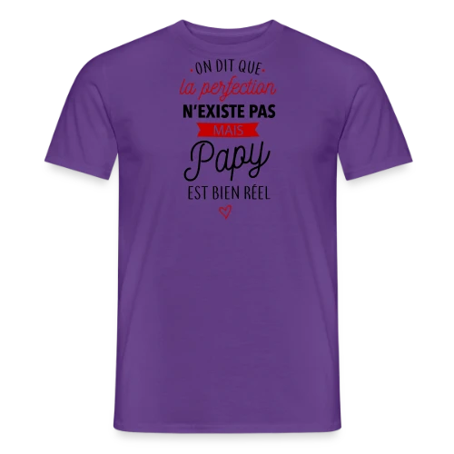 Papy Parfait : La Perfection Faite Homme - T-shirt homme