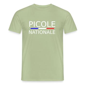 Picole Nationale - T-shirt homme - vert sauge - Devant - AI Model Male 178 light (178cm)