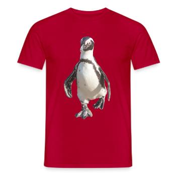 Pingouin - T-shirt homme - rouge - Devant - AI Model Male 178 dark (178cm)