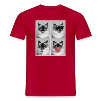 Cats, Himalayan Cat - Men's T-Shirt - red - Front - AI Model Male 178 dark (178cm)