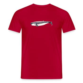 Pygmy Pottwal Pygmy Pottwal Kogia breviceps - Männer T-Shirt - Rot - Vorne - AI Model Male 178 dark (178cm)