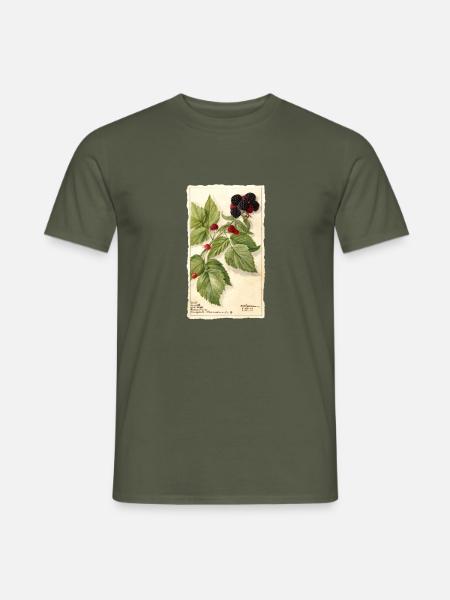 brombeeren garten rot beeren illustration vintage - Männer T-Shirt - Militärgrün