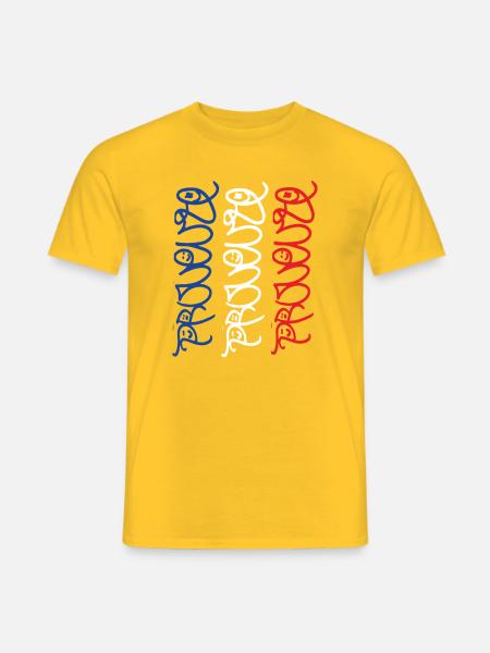 Provence Souvenir in Frankreich Farben - Männer T-Shirt - Gelb