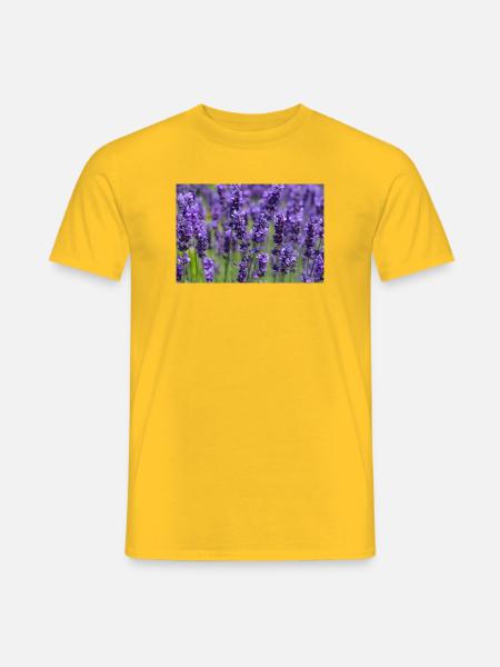 Lavender Field Dreamscape - Men's T-Shirt - yellow