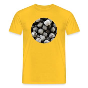Graphique de cercle de baies congelées - T-shirt homme - jaune - Devant - AI Model Male 178 dark (178cm)